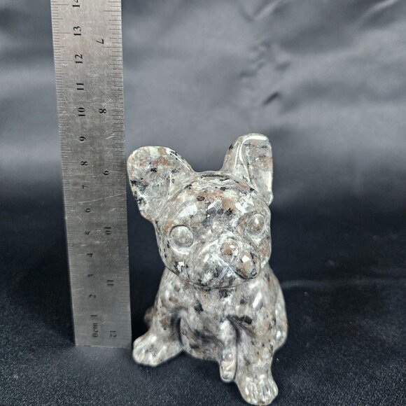 Yooperlite French Bulldog - Picture 7 of 8